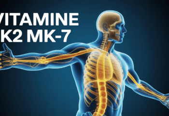 Illustration calcium os artères vitamine K2 MK-7
