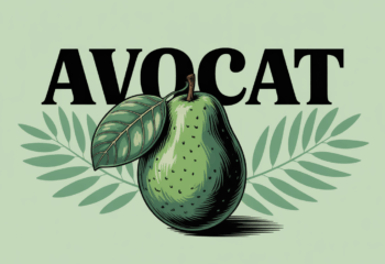 illustration avocat entier fond vert bienfaits sante