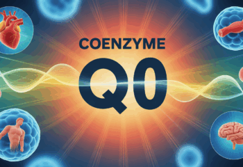 Coenzyme Q10 boost energie vitalite sante cellules coeur muscles cerveau