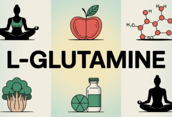 illustration L glutamine energie digestion muscles bien etre