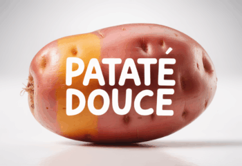 vue stylisee grande patate douce ouverte couleur orange