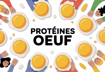 Plat stylisé avec œufs et texte proteines œuf