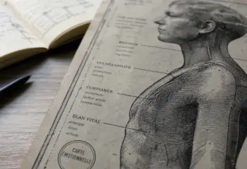 Carte émotionnelle des maux du corps : douleurs nuque, ventre, épaules